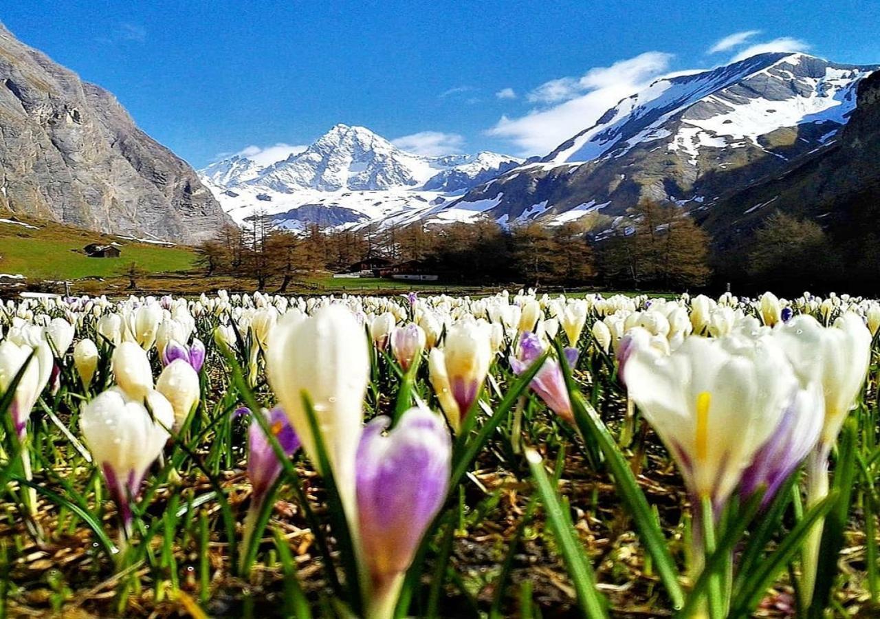 Haus Wibmer Matrei in Osttirol Bagian luar foto