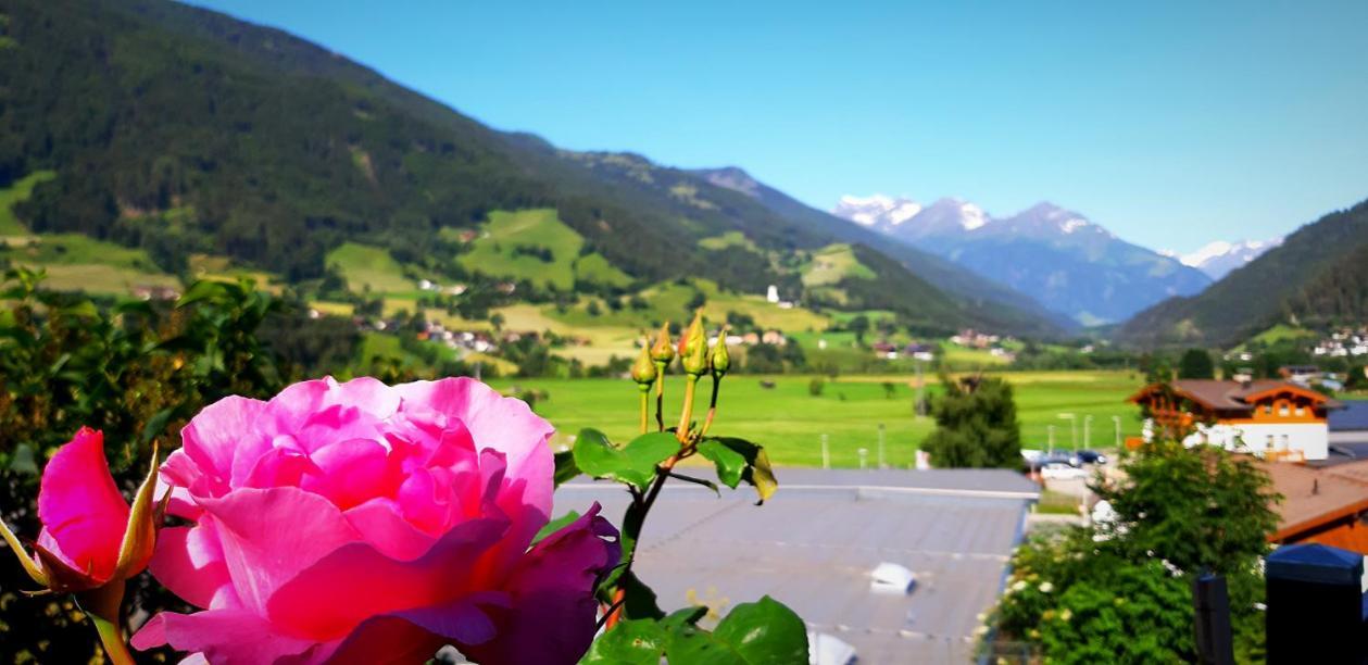 Haus Wibmer Matrei in Osttirol Bagian luar foto
