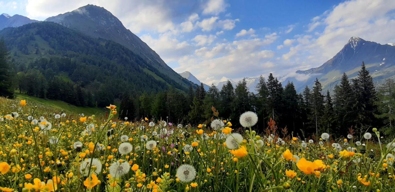 Haus Wibmer Matrei in Osttirol Bagian luar foto