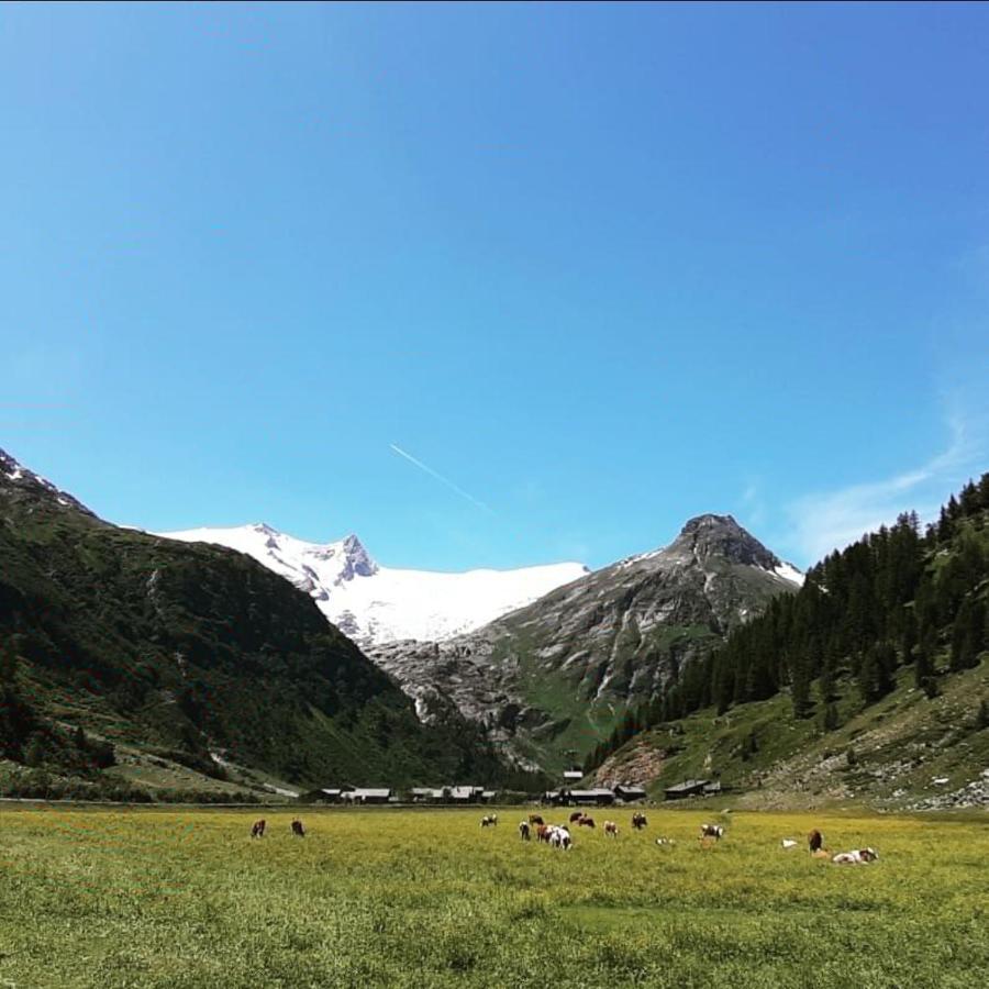 Haus Wibmer Matrei in Osttirol Bagian luar foto